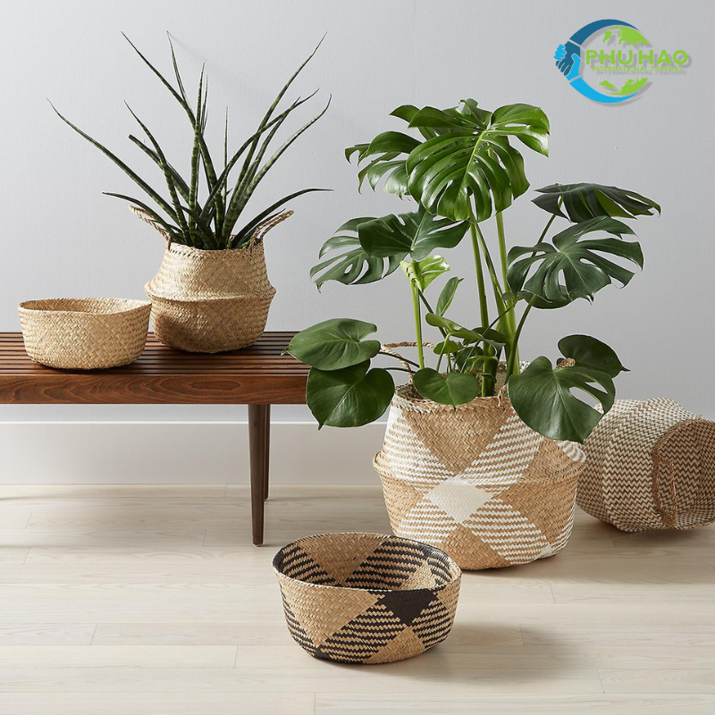 103001 Seagrass Belly Baskets – Vietnam Handicraft