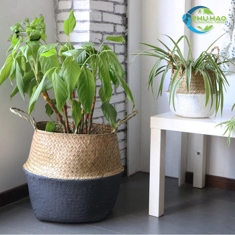 103001 Seagrass Belly Baskets – Vietnam Handicraft