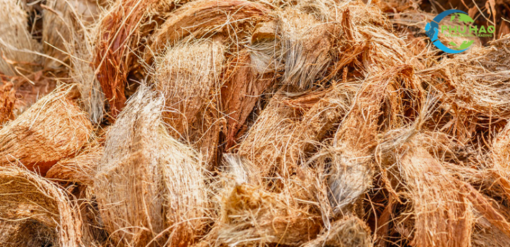 The Journey from Coconuts to Coir Tape: Importance and Detailed Production Process