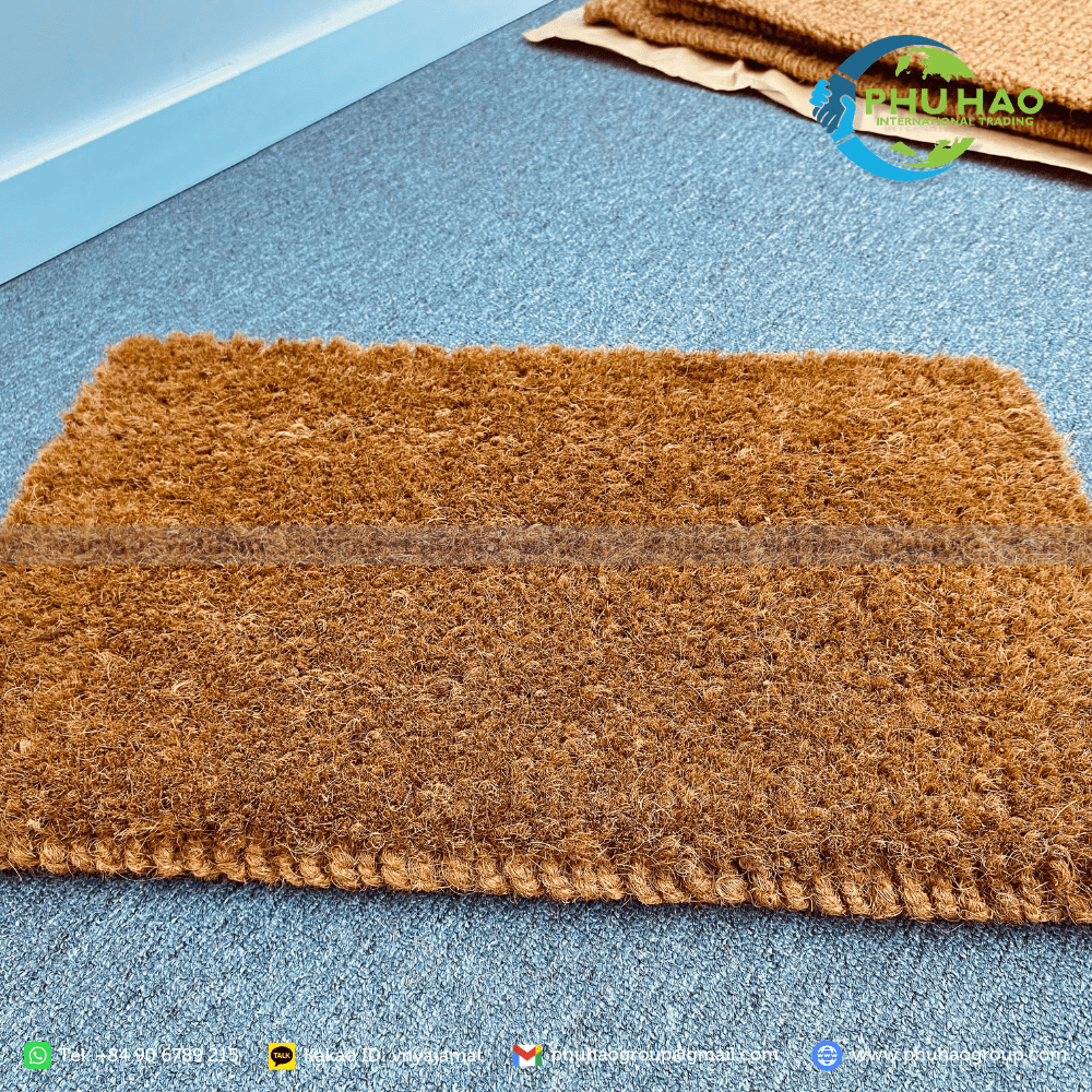 PH011 Amazing Indoor Mat With 2 Layers