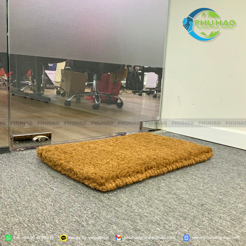 PH011 Amazing Indoor Mat With 2 Layers