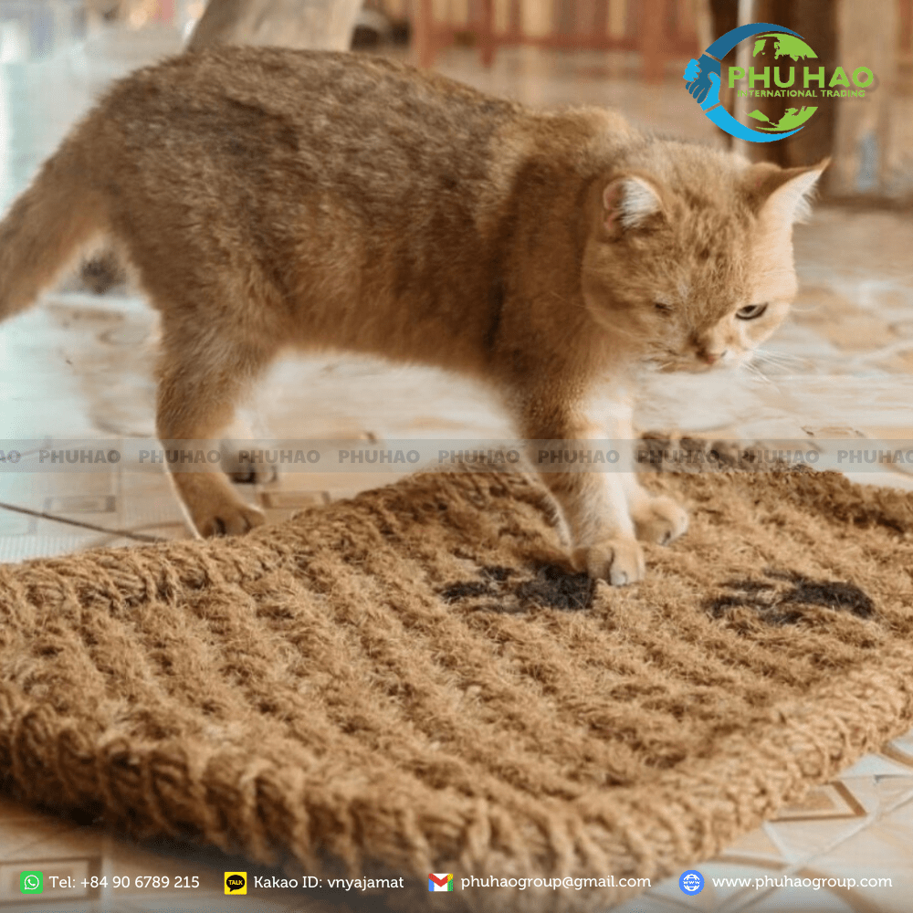 PH009 Best Selling Product Pet Mat