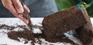 Phu Hao proudly presents our cocopeat, made from 100% coconut husk fiber sourced from Ben Tre province, Vietnam. With a capacity of 50 tons per month. Cocopeat offers numerous benefits for plants, including improved water drainage and retention, rich nutrient content, and natural disease resistance.