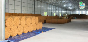 Coir Mats at Phu Hao Factory