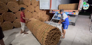 Container to load Coir Mats