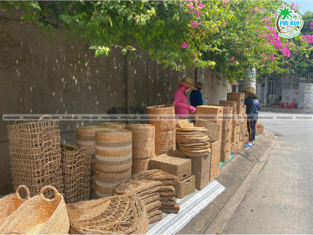 Best Tips to Prevent Your Water Hyacinth Basket from Mold