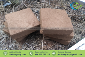 Coco Peat
