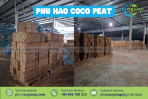 Coco Peat