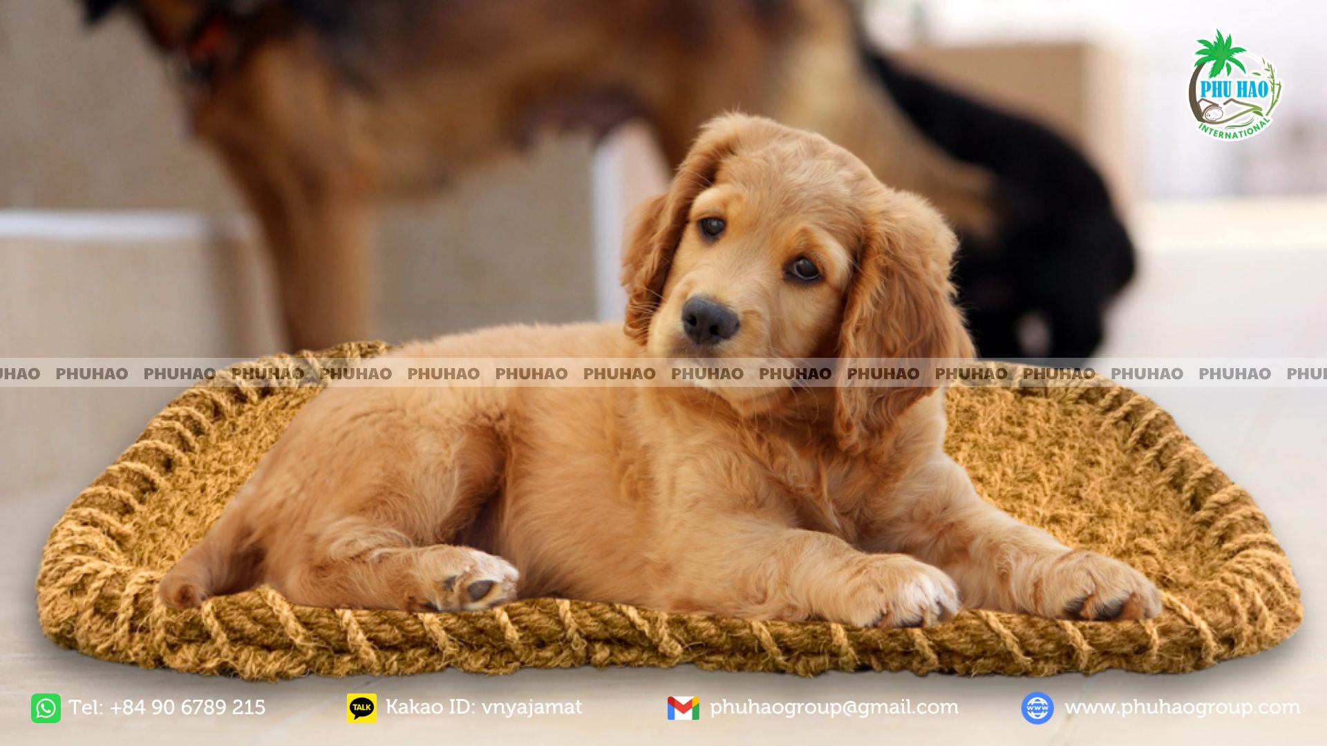 pet mat 