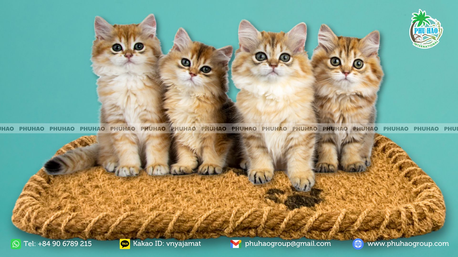 pet mat 