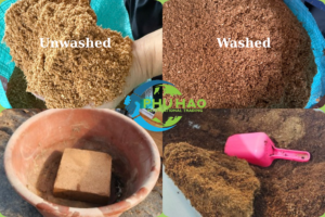 Coco Peat