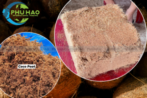 Coco Peat