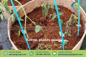 Coco Peat