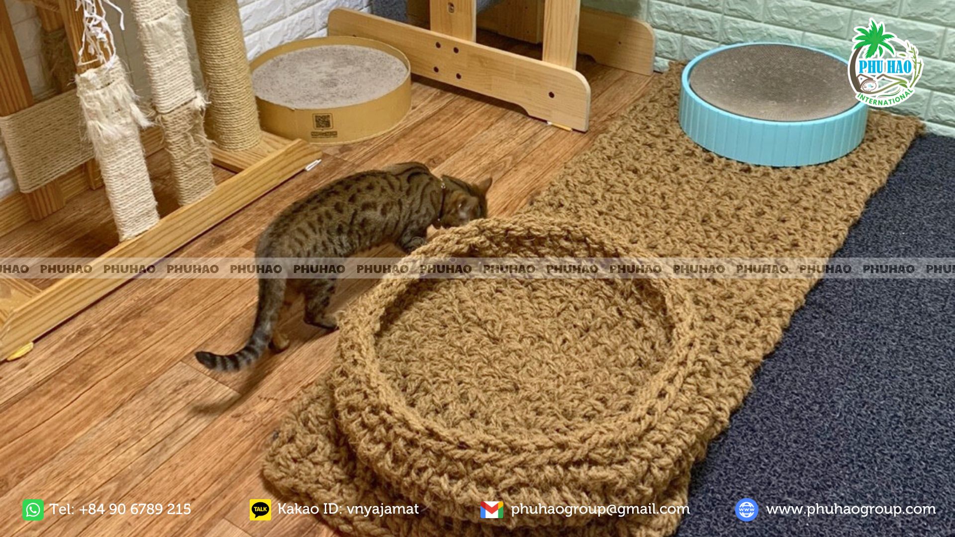 pet mat 