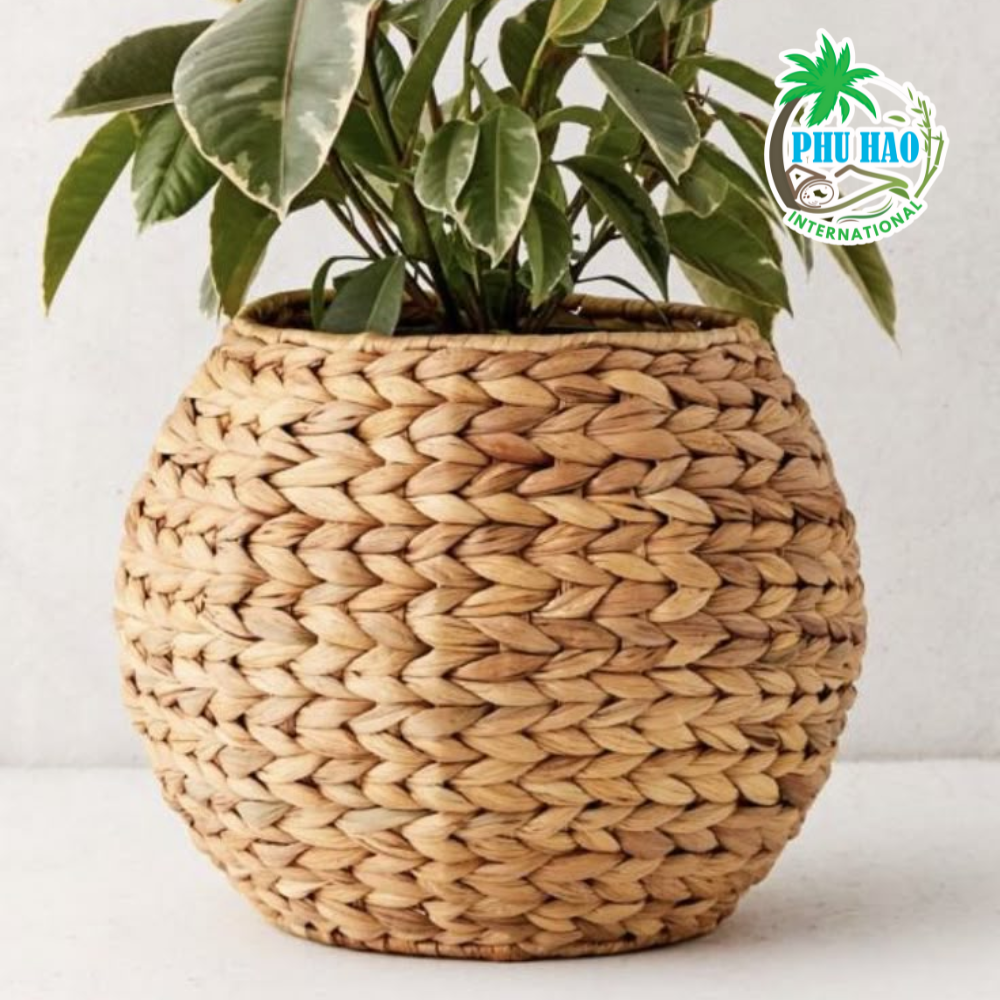 404002 Excellent Water Hyacinth Vase Plant Holder For Home