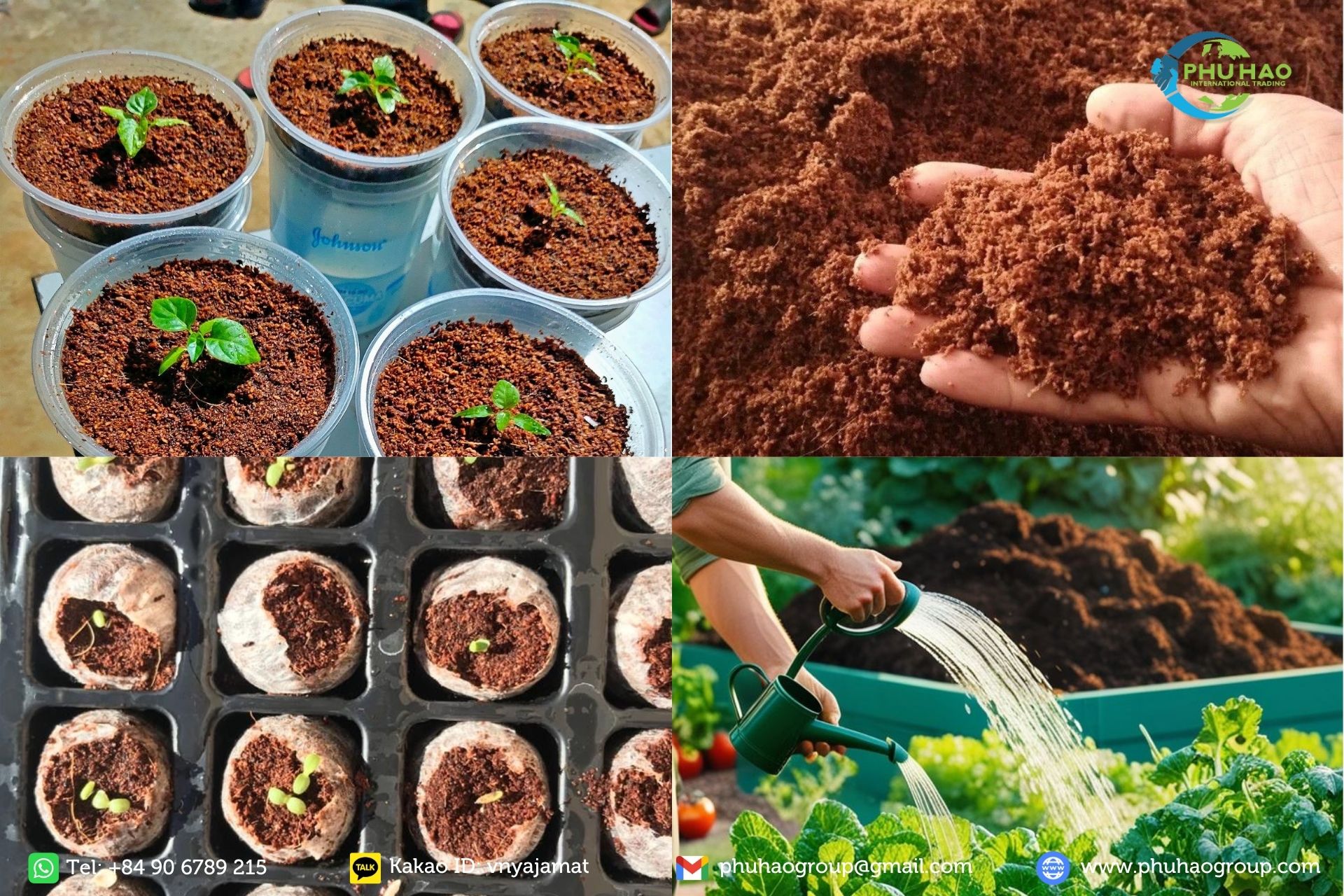 Coco Peat