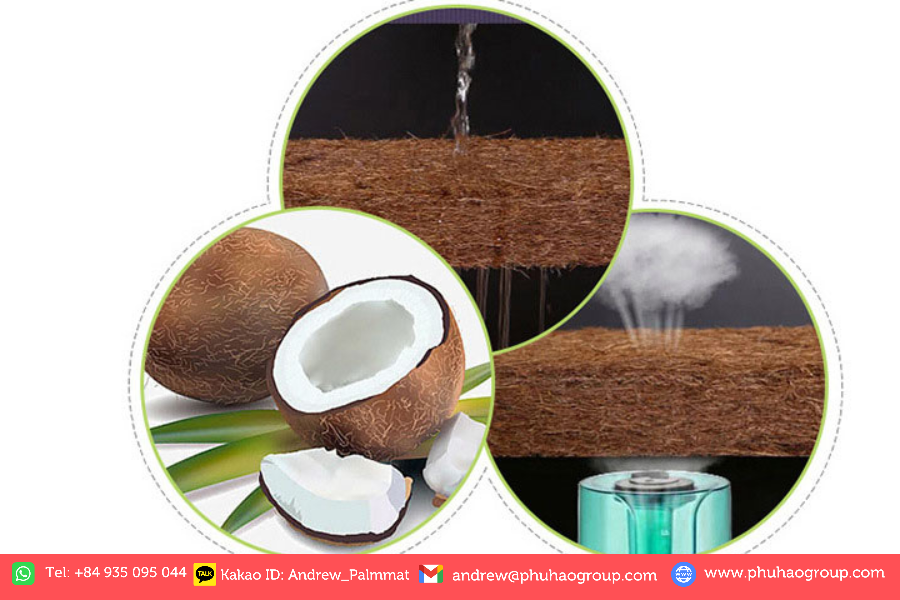 coir mattress