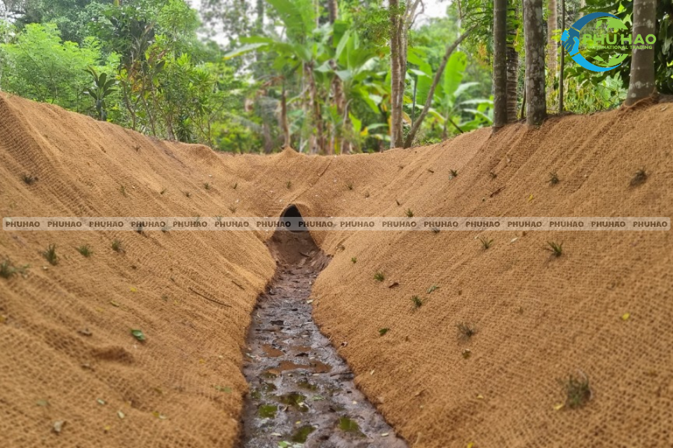 coir net