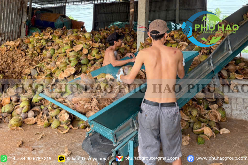 cocopeat