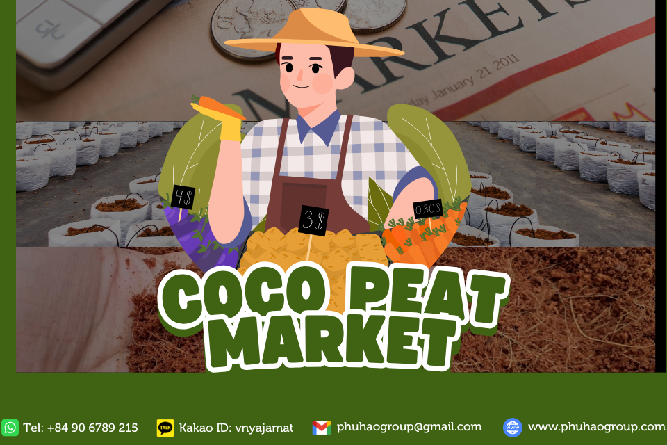 Coco Peat Block Low EC Informative Market CAGR 2026-2033