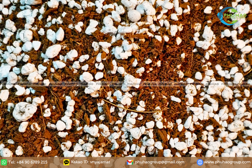 Mistakes to Avoid When You Use Cocopeat