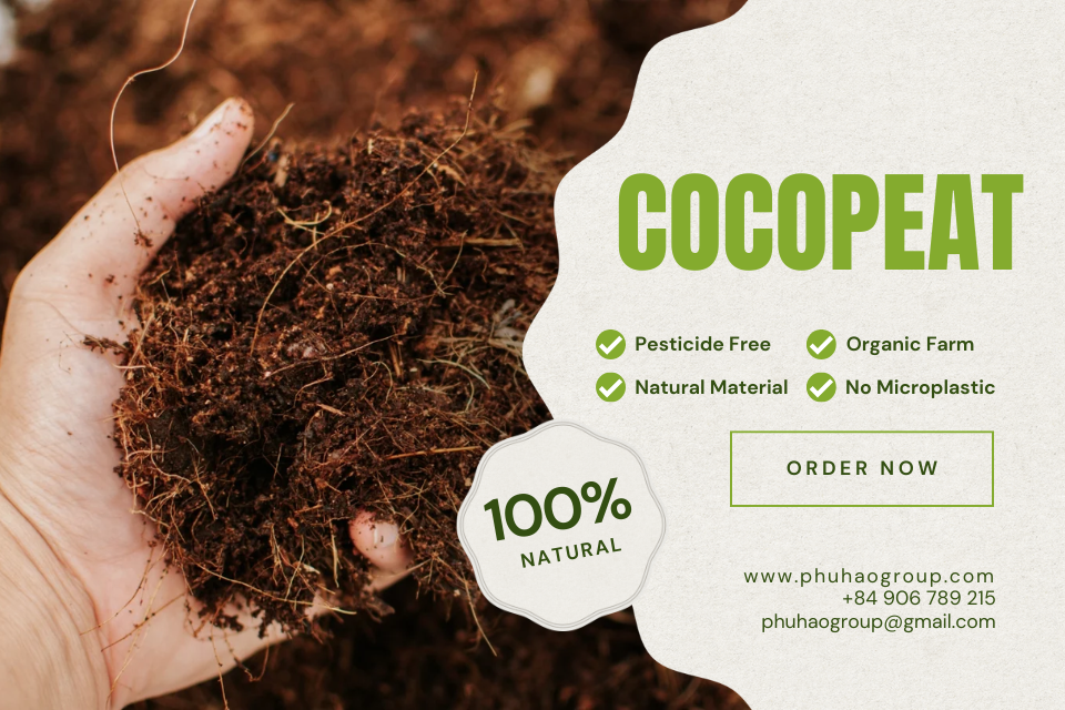 What Is Cocopeat? The Ultimate Guide to This Eco-Friendly Growing Medium