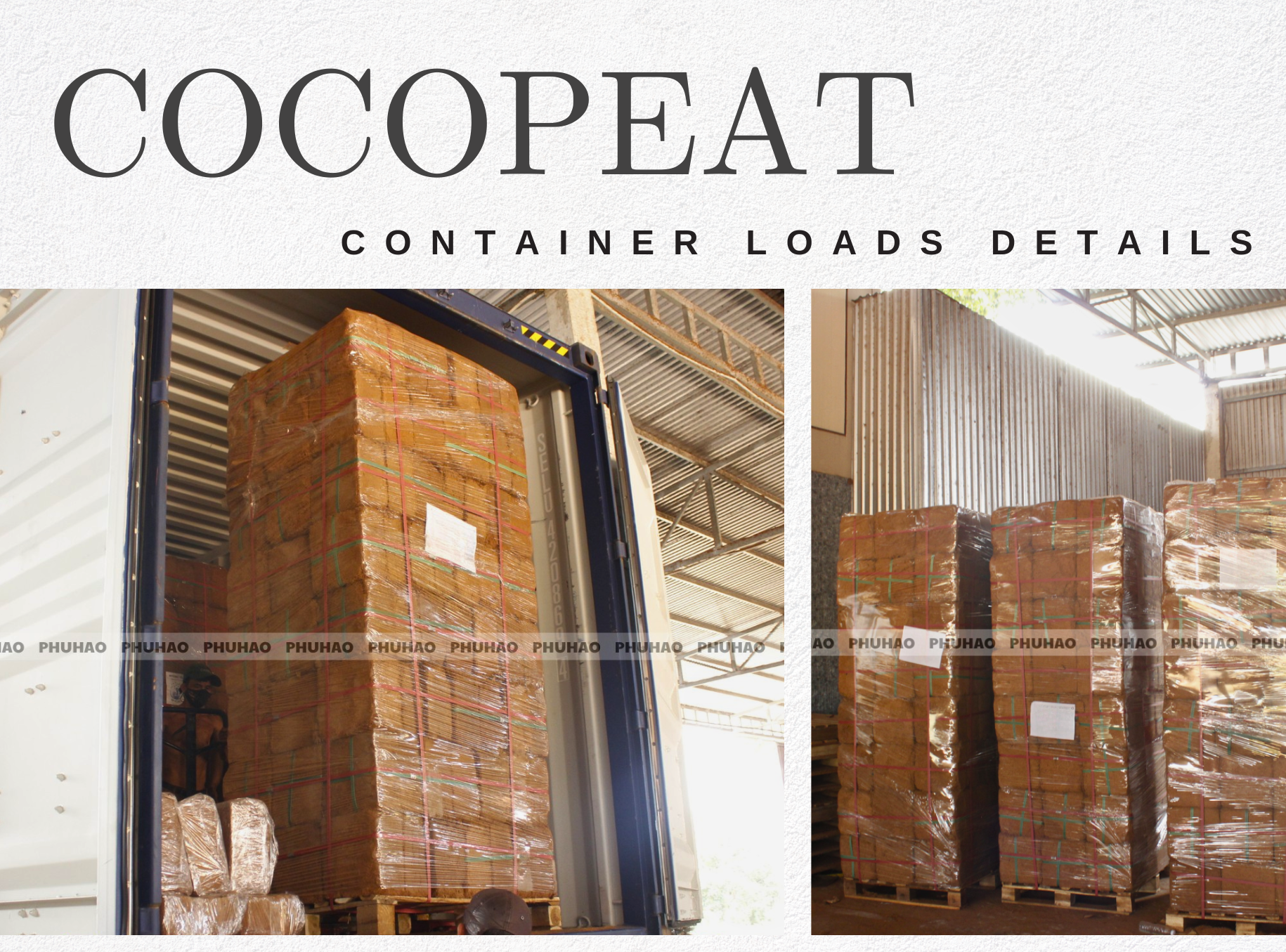 Phu Hao Cocopeat: Packing Methods, Pallet Details, and Container Loads