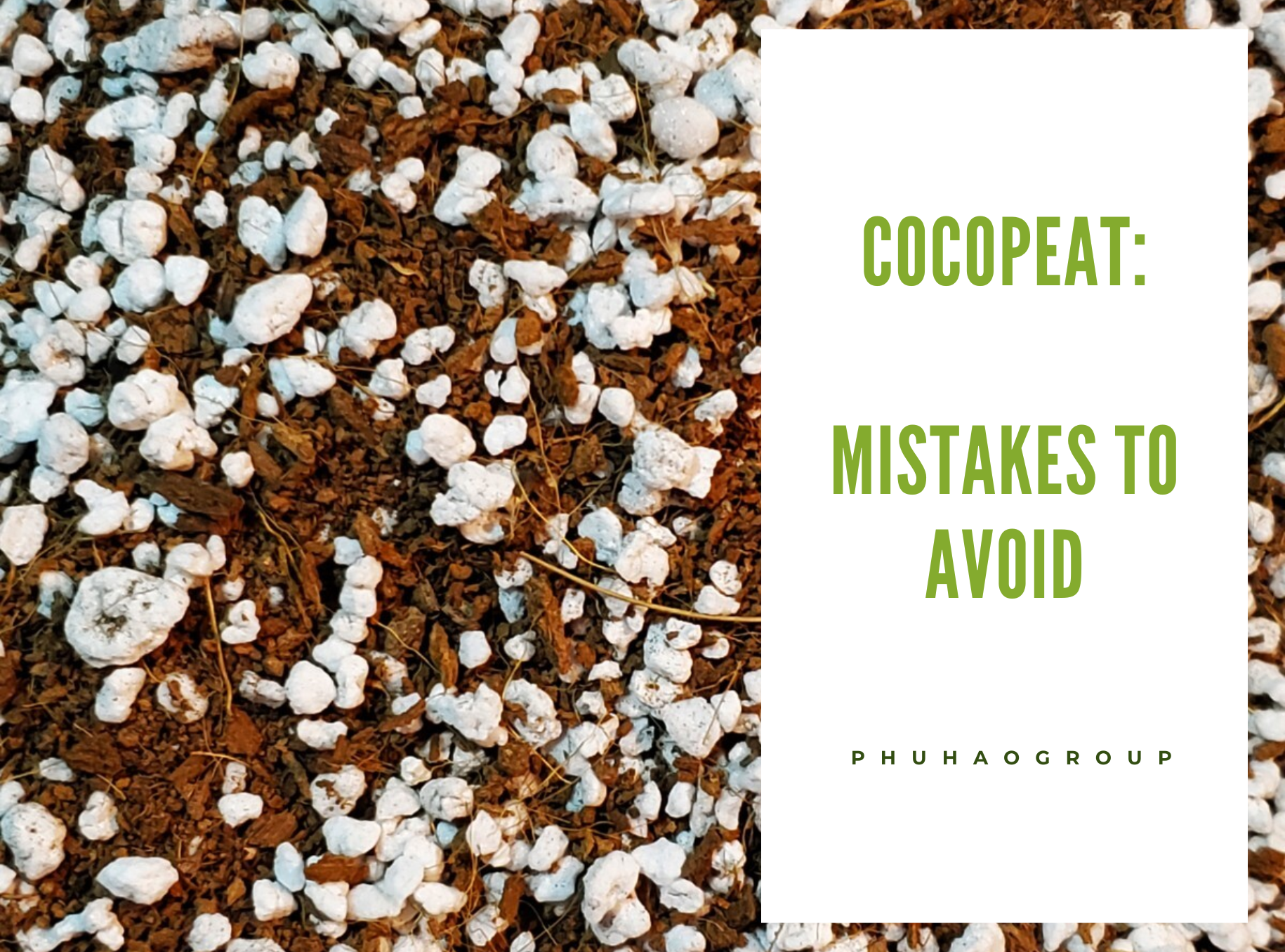 Mistakes to Avoid When You Use Cocopeat
