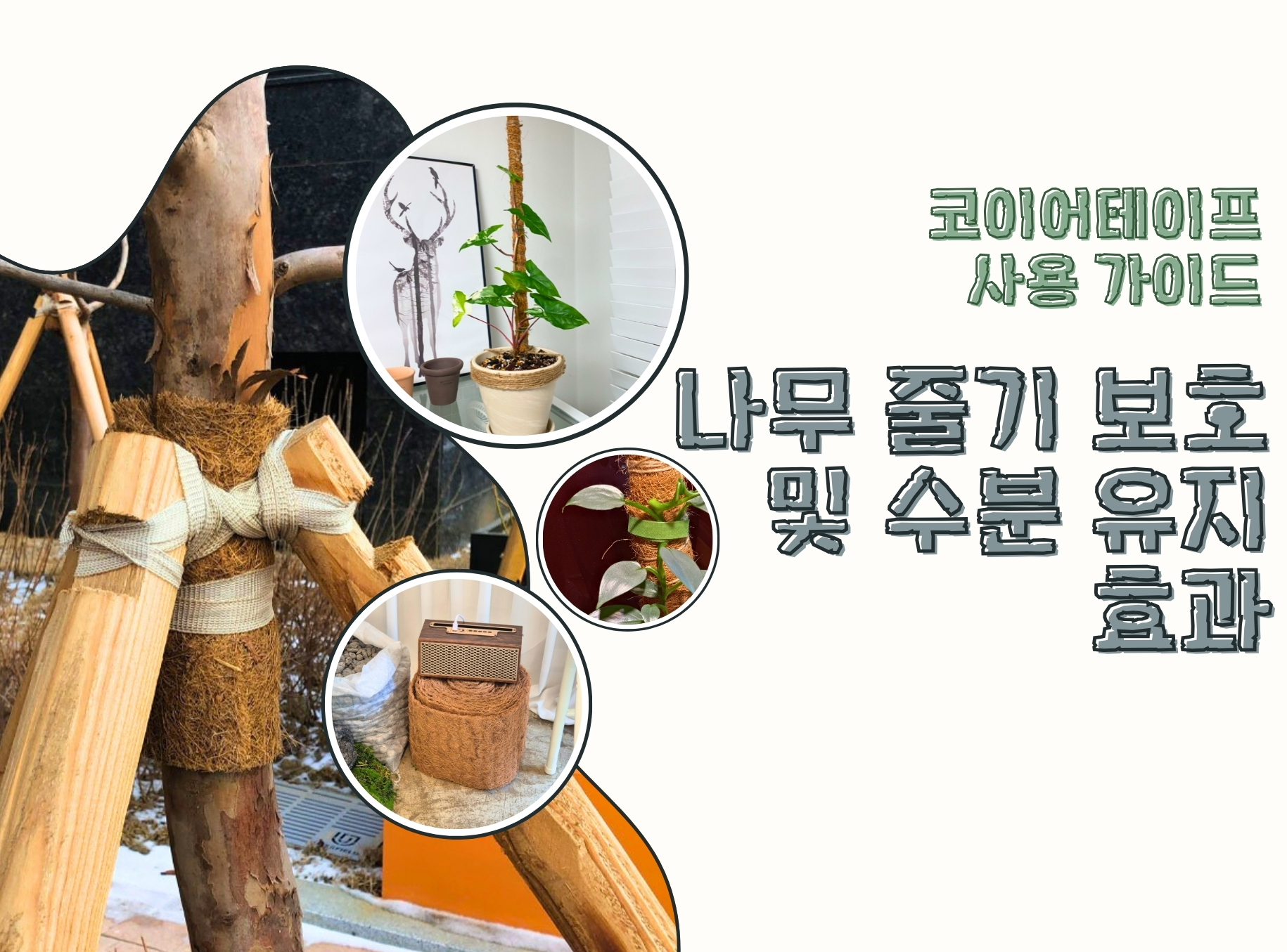 코이어테이프 사용 가이드: 나무 줄기 보호 및 수분 유지 효과