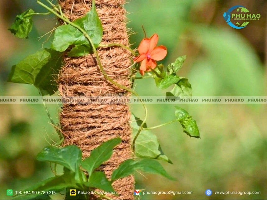 coir rope vs nylon rope