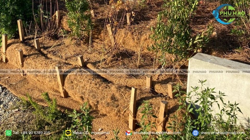 Driving anchor stakes to secure the coir log revetment