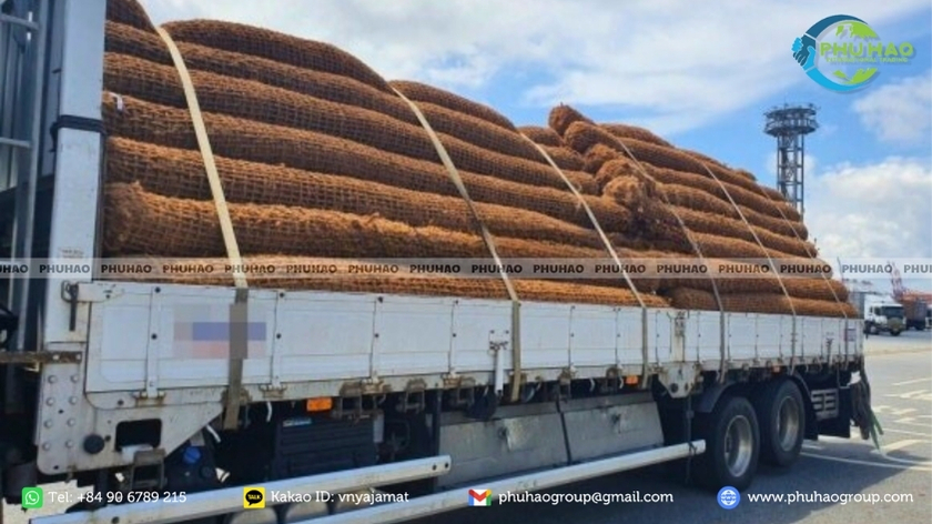 export coir log price list container